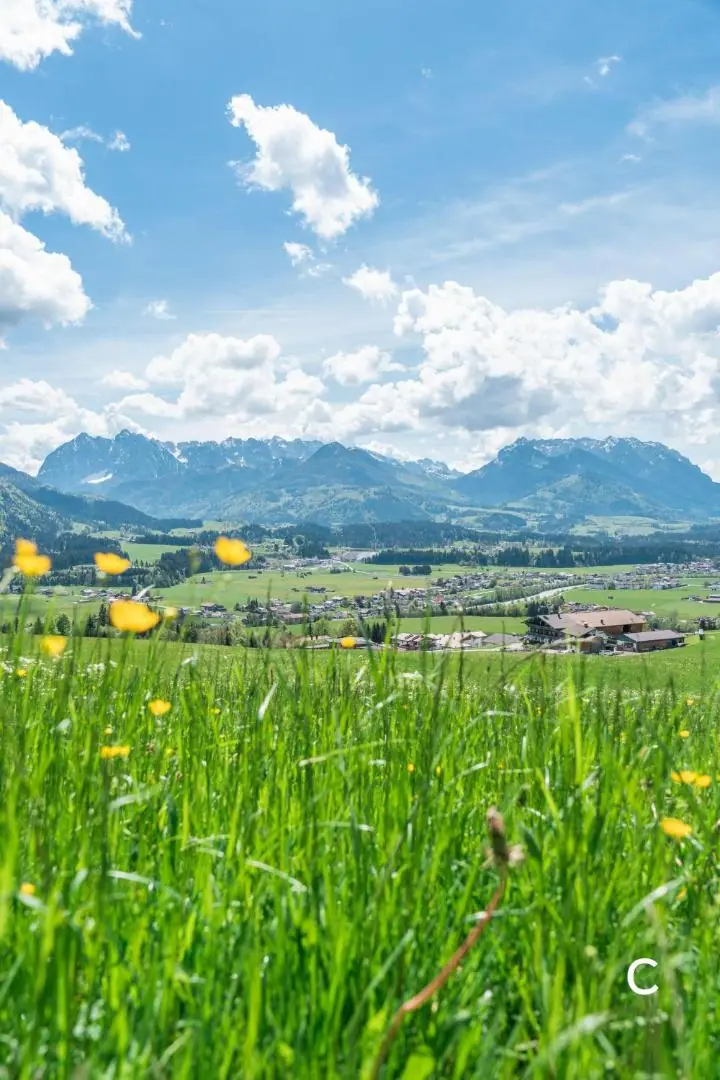 Blick über eine Blumenwiese auf das Tal von Kössen und die Berge des Kaiserwinkls
