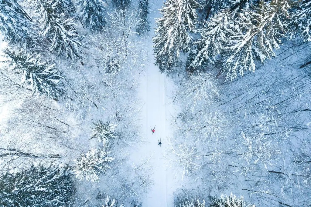 Zwei Langläufer auf einer Loipe im tief verschneiten Wald, von oben fotografiert